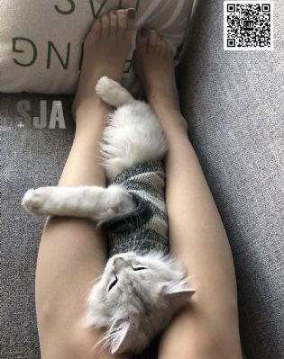 电视vip免费看_超清手机在线观看